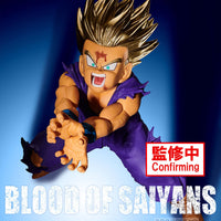 PREORDER DRAGON BALL Z BLOOD OF SAIYANS-SPECIAL?-