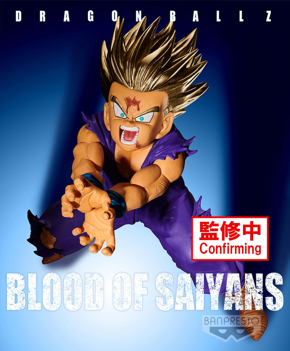 PREORDER DRAGON BALL Z BLOOD OF SAIYANS-SPECIAL?-