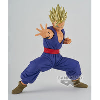 PREORDER DRAGON BALL SUPER: SUPER HERO BLOOD OF SAIYANS?SPECIALXIII